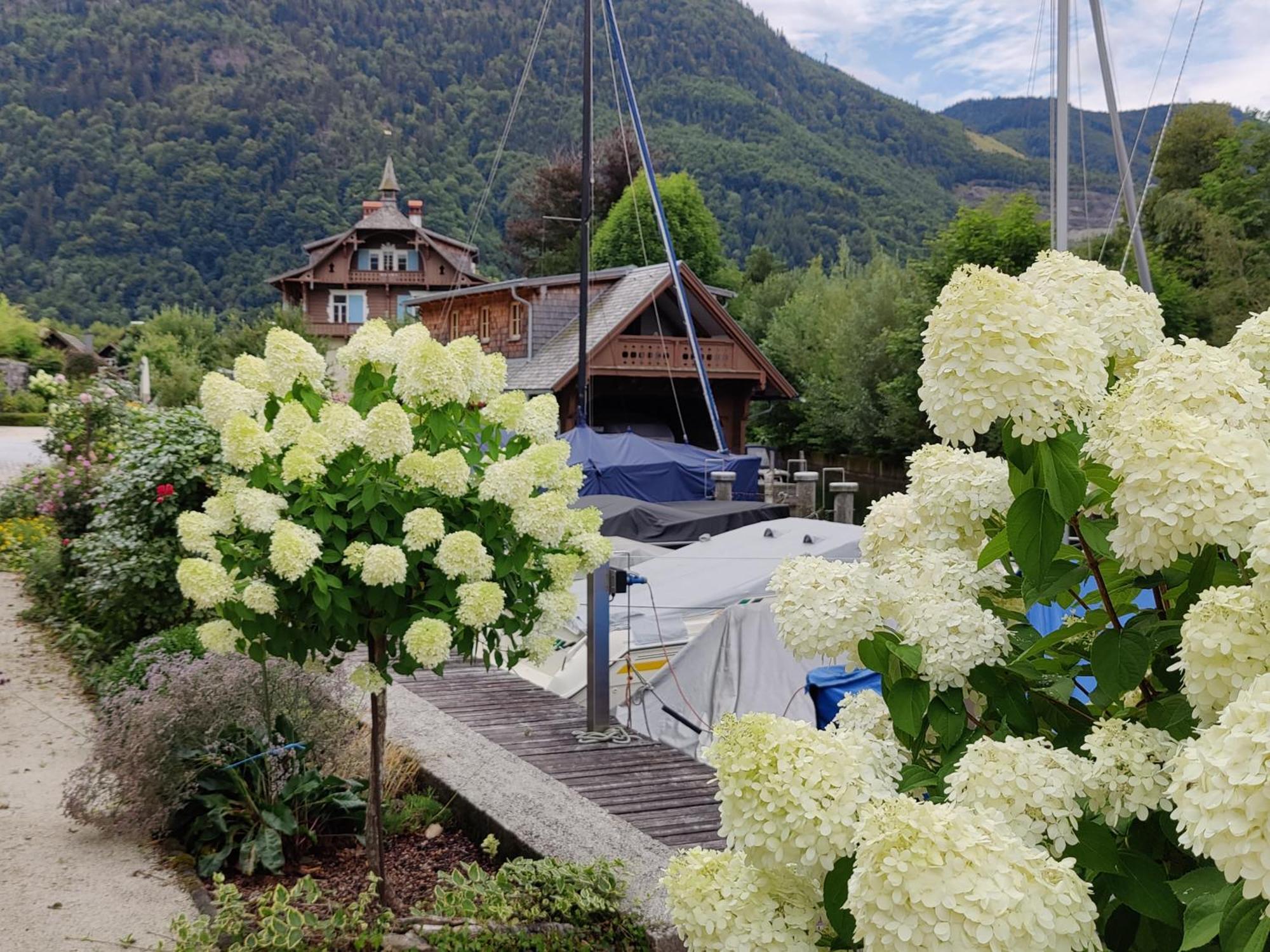Wohnen Am See Villa Schroetter Direkt Am Traunsee Rindbach Exteriér fotografie