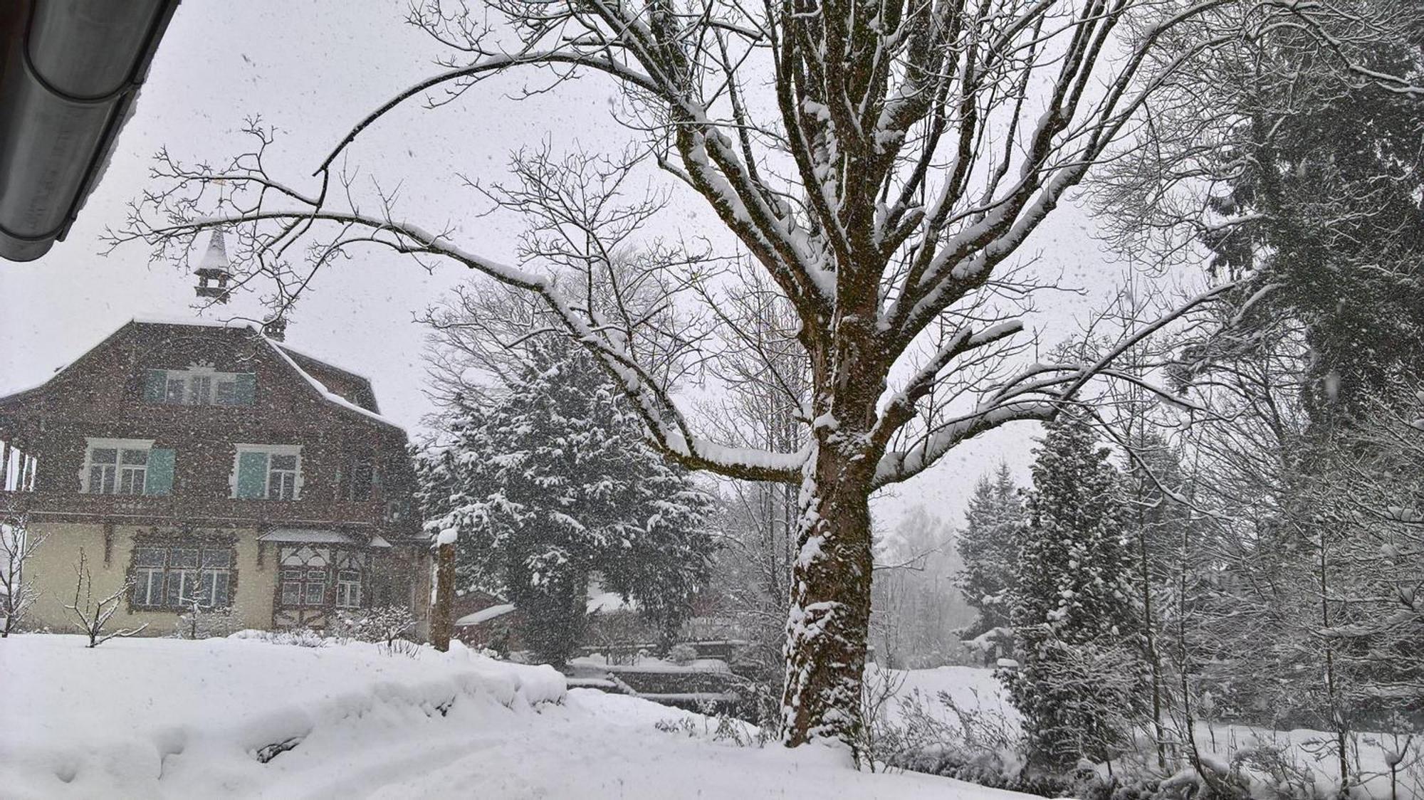 Wohnen Am See Villa Schroetter Direkt Am Traunsee Rindbach Exteriér fotografie