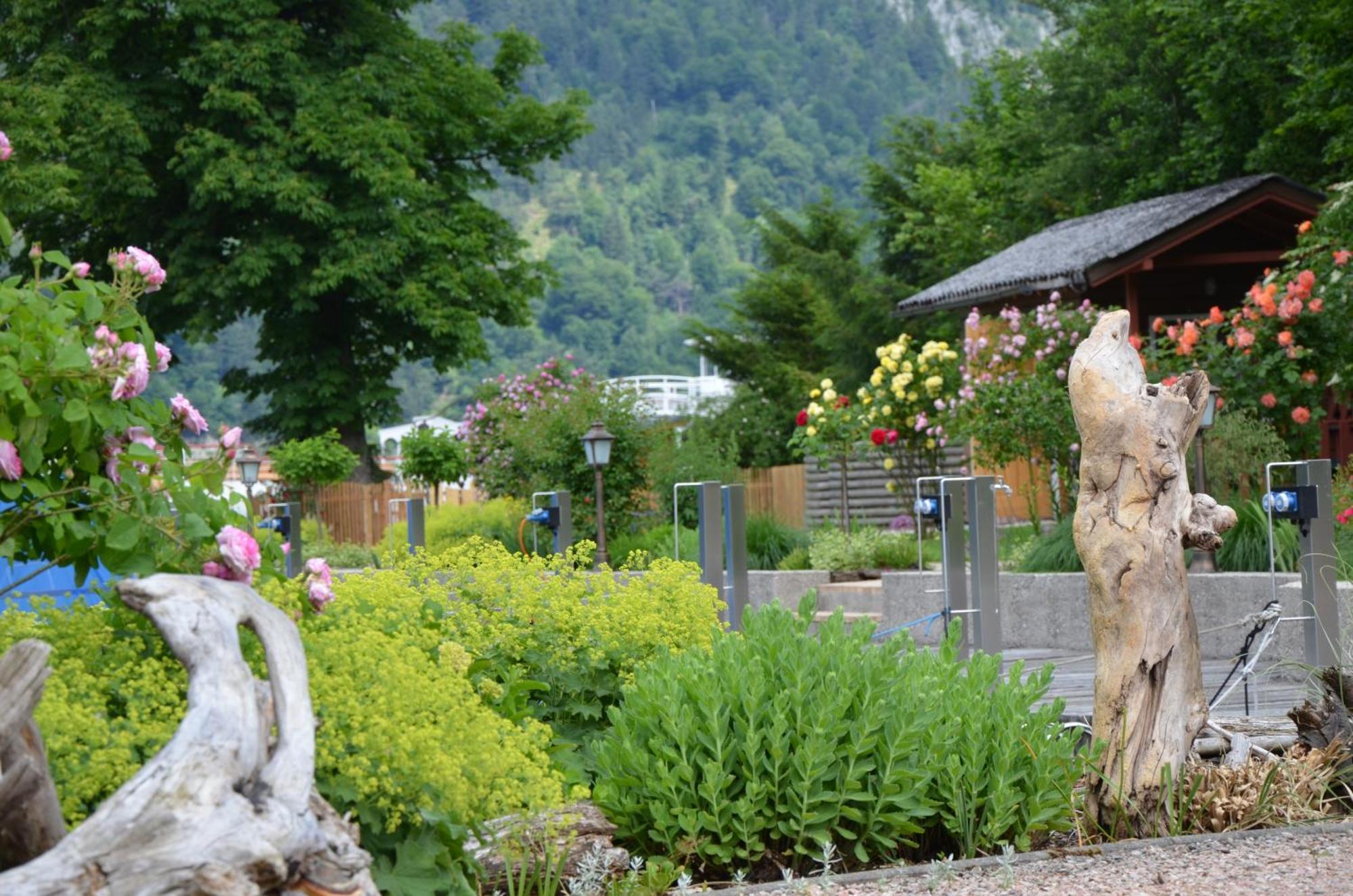 Wohnen Am See Villa Schroetter Direkt Am Traunsee Rindbach Exteriér fotografie
